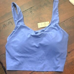 Aerie Vibrant Blue Sports Bra